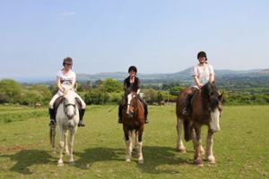 Killegar Stables