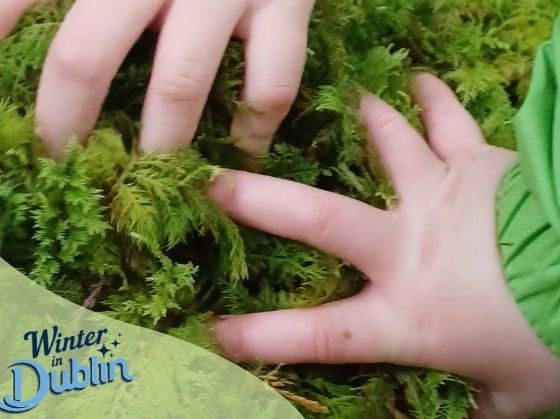 Hibernation Sessions: Families in the Forest