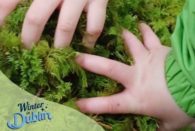 Hibernation Sessions: Families in the Forest