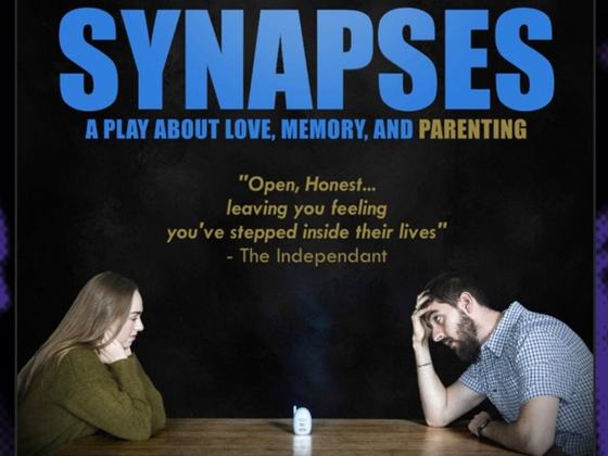 Synapses