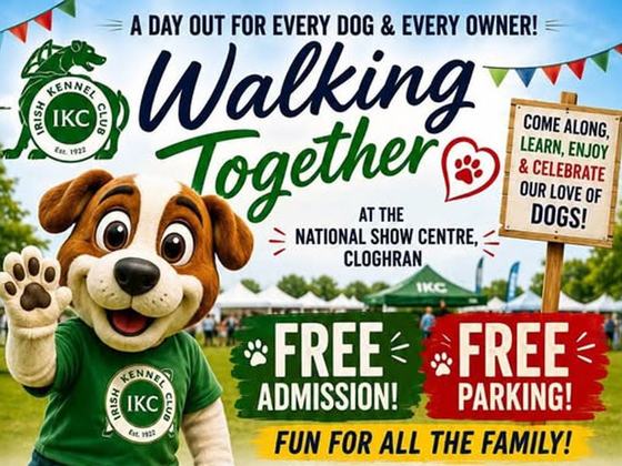 Walking Together – A Day Out for Every Dog & Every Owner