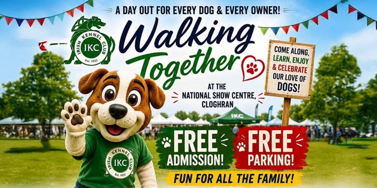Walking Together – A Day Out for Every Dog & Every Owner