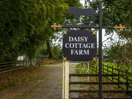 Daisy Cottage Farm