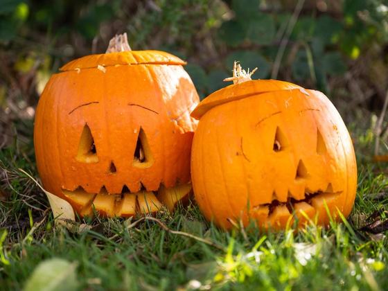 Pumpkin & Fun Family Halloween Festival