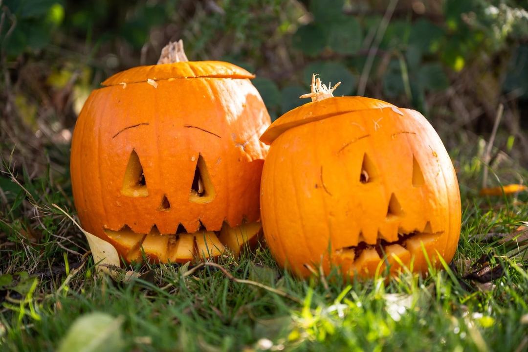 Pumpkin & Fun Family Halloween Festival