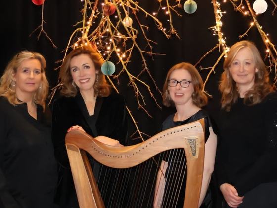 Highly Strung: All Wrapped Up