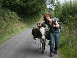 Clissmann Donkey Walking Holidays