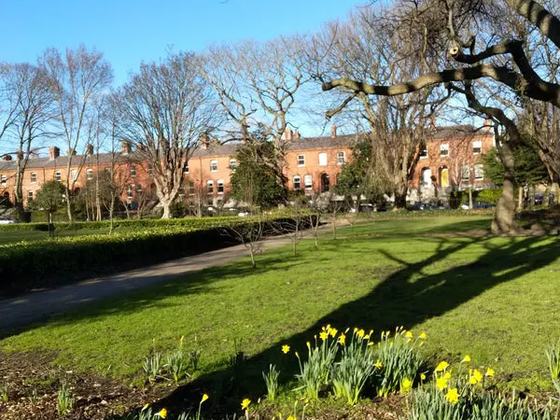 Dartmouth Square Park