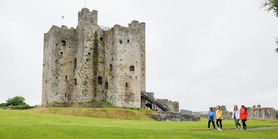 Hill of Tara & Trim Castle Half-Day Tour from Dublin