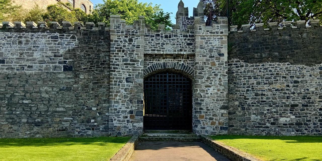 Viking & Medieval Dublin Walking Tour - Discover Dublin’s Origins