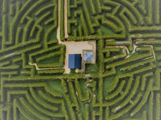 The Kildare Maze