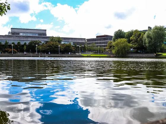 Belfield Campus