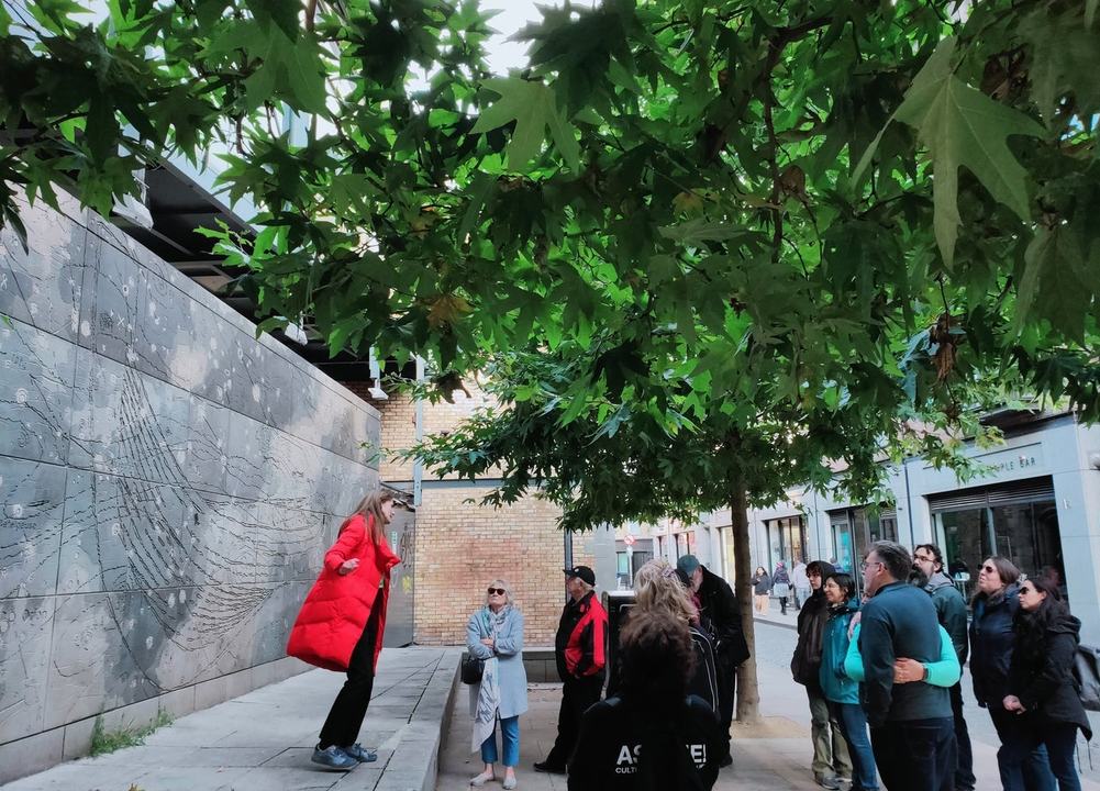 Walk Dublin