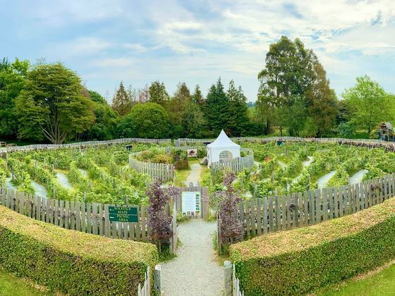 Greenan Maze