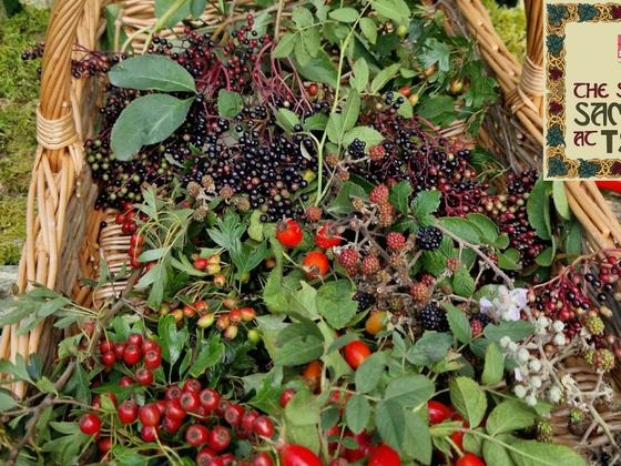 Herbs, Hexes, and Halloween