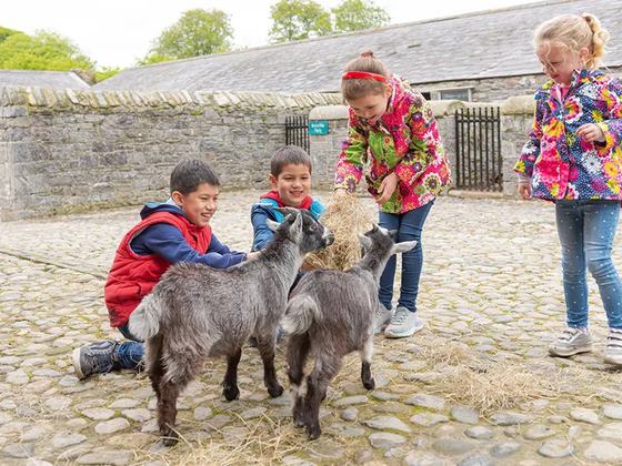 Newbridge House and Farm