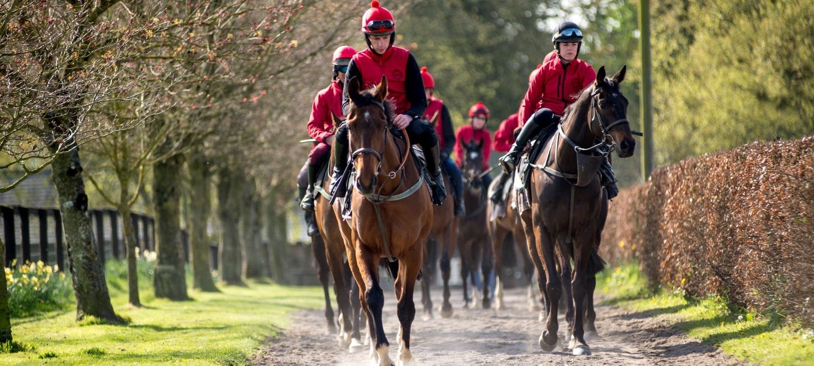 The Jessica Harrington Racing Experience