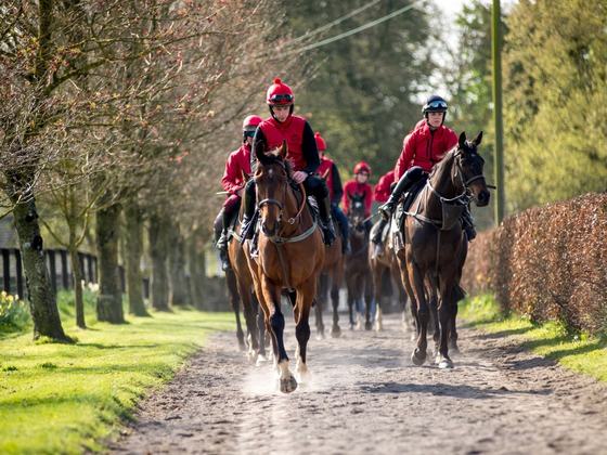 The Jessica Harrington Racing Experience