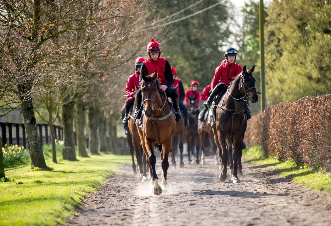 The Jessica Harrington Racing Experience