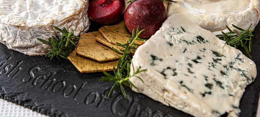 Irish School of Cheese