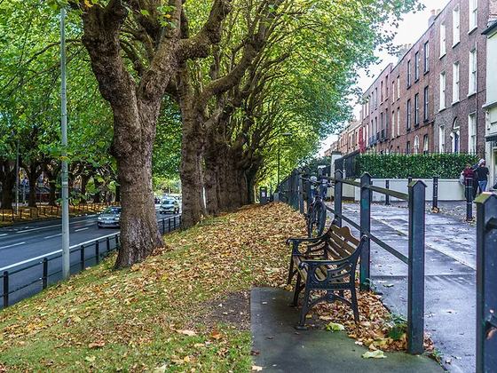 Drumcondra