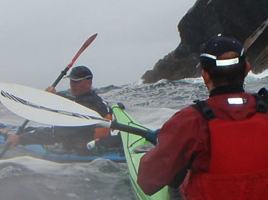 Shearwater Sea Kayaking