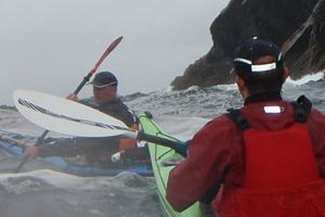 Shearwater Sea Kayaking