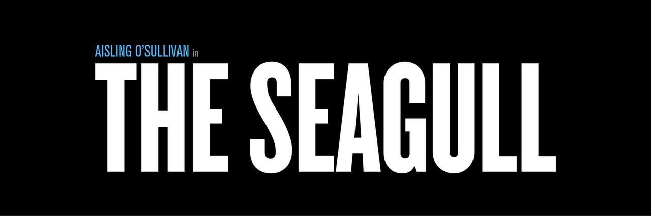The Seagull