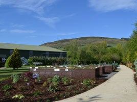 Tearmann Community Garden