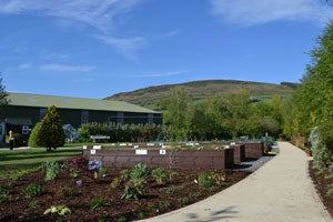 Tearmann Community Garden