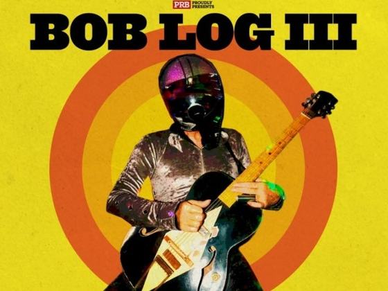 Bog Log III