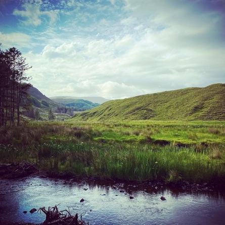 The Shaking Bog presents All About Bogs – Walk & Talk, led by Andrea Webb