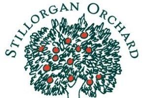 Stillorgan Orchard