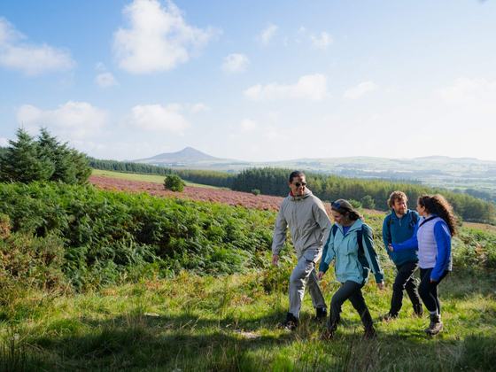 Private Day Tour of Wicklow & Glendalough