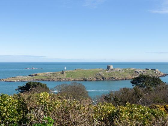South Dublin Coastal Tours