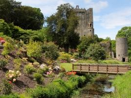 Blarney Castle and Cork Day tour – Irish Day Tours