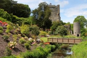 Blarney Castle and Cork Day tour – Irish Day Tours