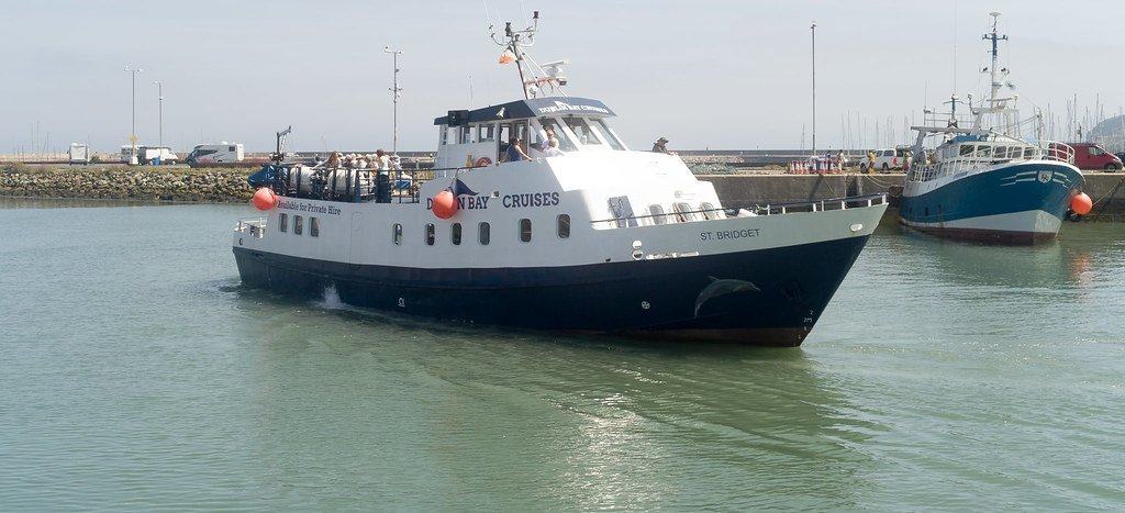 Ireland's Eye / Howth Cliffs Boat Cruise