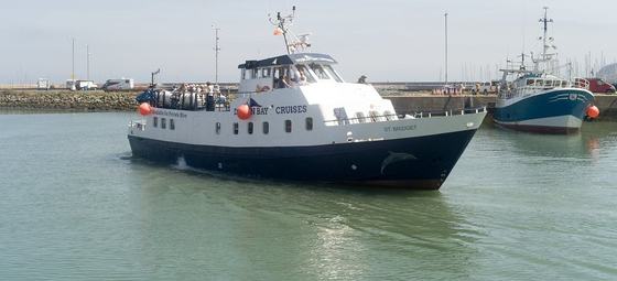 Ireland's Eye / Howth Cliffs Boat Cruise