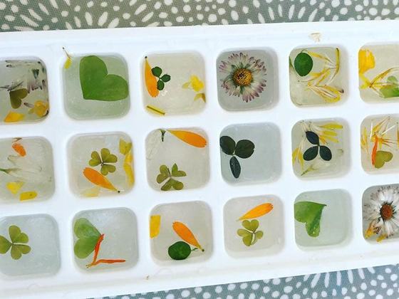 Wild Food Events