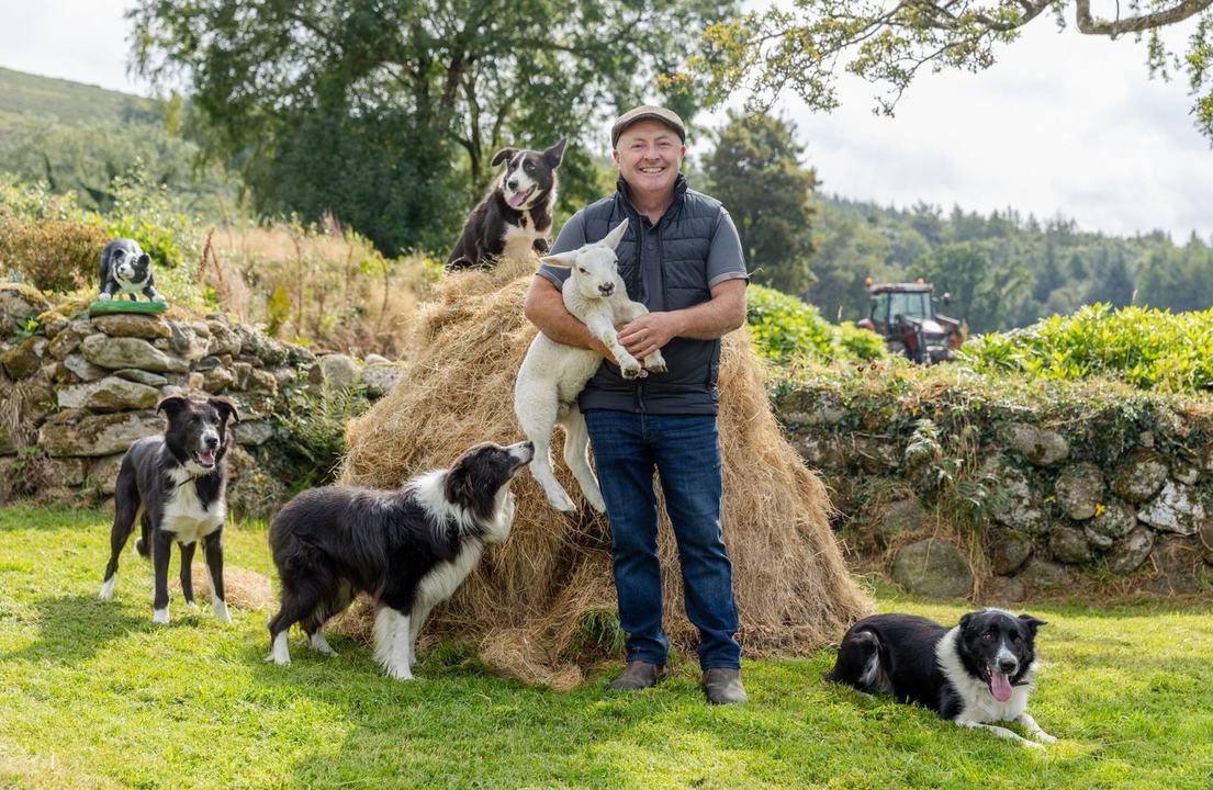 Cullen's Sheep Farm