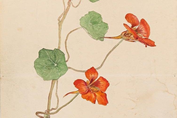 Inclusive Accessible Tour | Hilma af Klint: Artist and Visionary