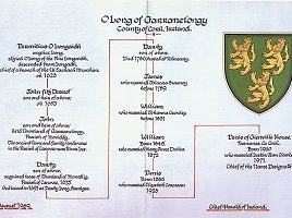 Kildare Heritage and Genealogy Company