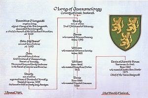 Kildare Heritage and Genealogy Company