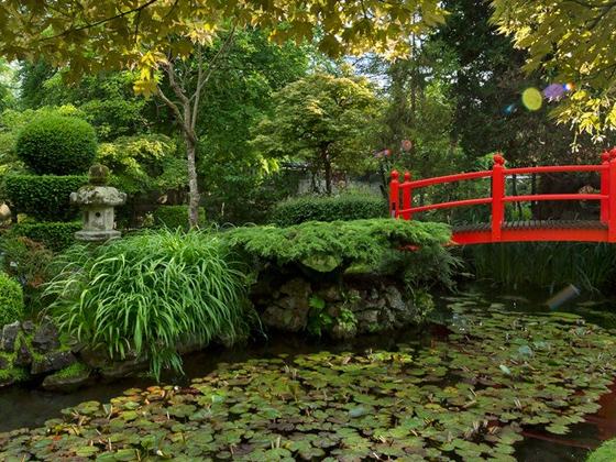 The Irish National Stud & Gardens