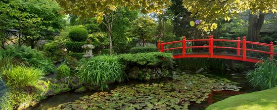The Irish National Stud & Gardens