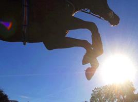 Irish Thoroughbred Marketing