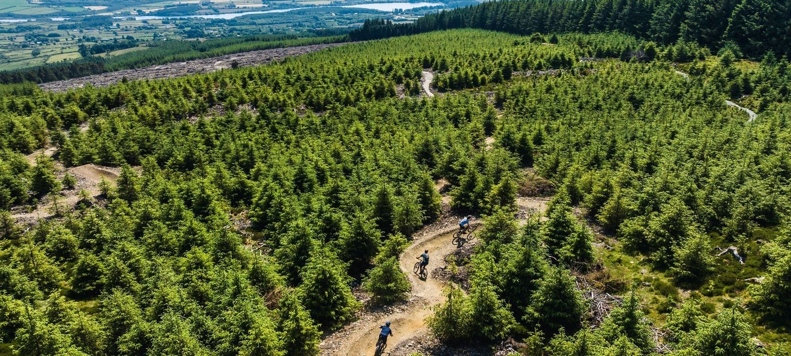 Biking.ie - Ballinastoe Mountain Bike Trail