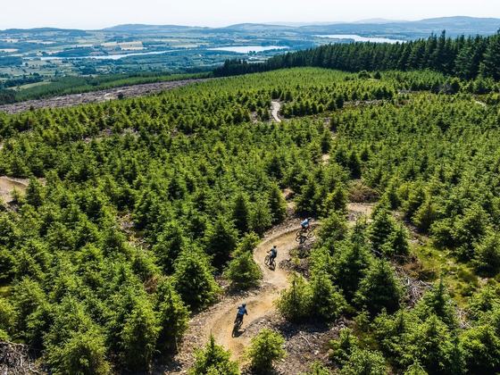 Biking.ie - Ballinastoe Mountain Bike Trail