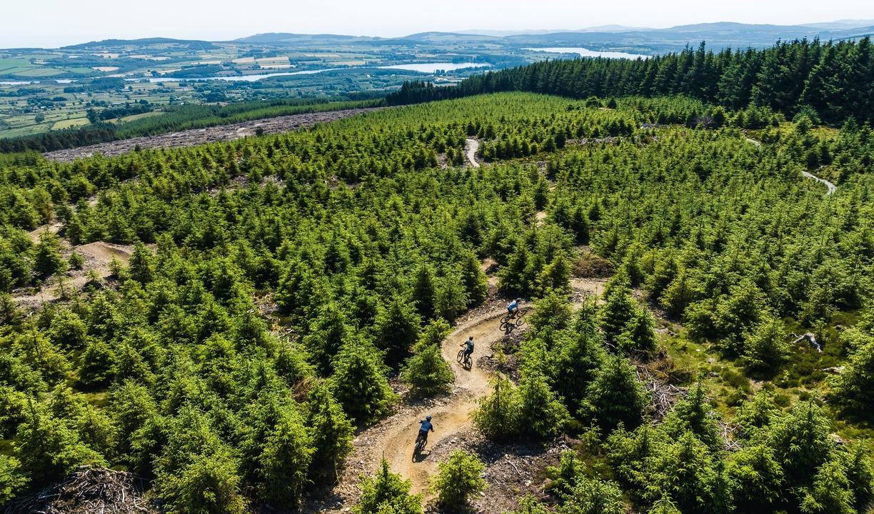 Biking.ie - Ballinastoe Mountain Bike Trail